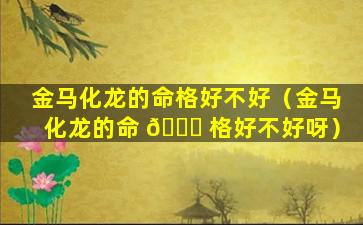 金马化龙的命格好不好（金马化龙的命 🍁 格好不好呀）
